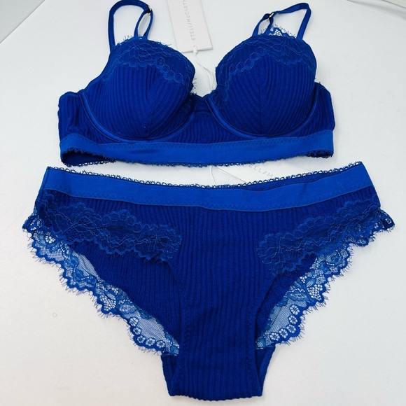 Stella McCartney Other - STELLA MCCARTNEY**Stunning Bra Underwear Set**34B/Sm.**$475